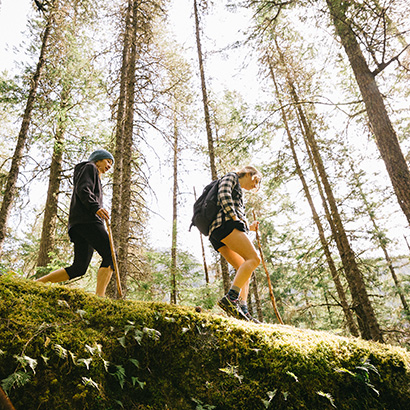 Two hikers walking through forest over a mossy log
